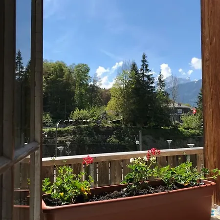 Bruenig Lodge Brunig Pass